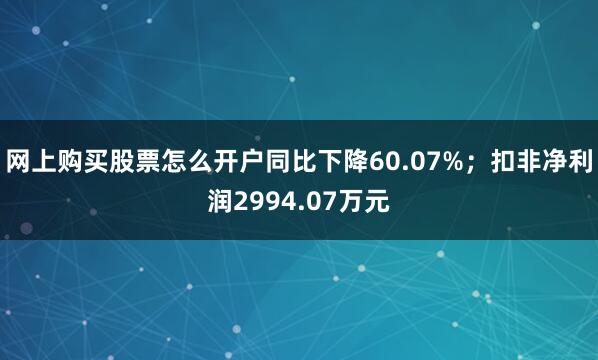 网上购买股票怎么开户同比下降60.07%；扣非净利润2994.07万元