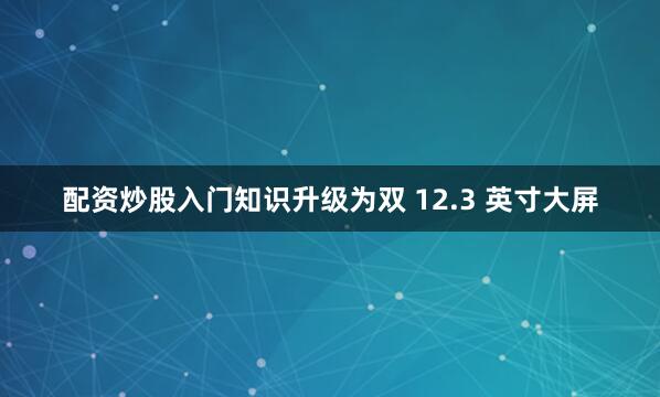 配资炒股入门知识升级为双 12.3 英寸大屏
